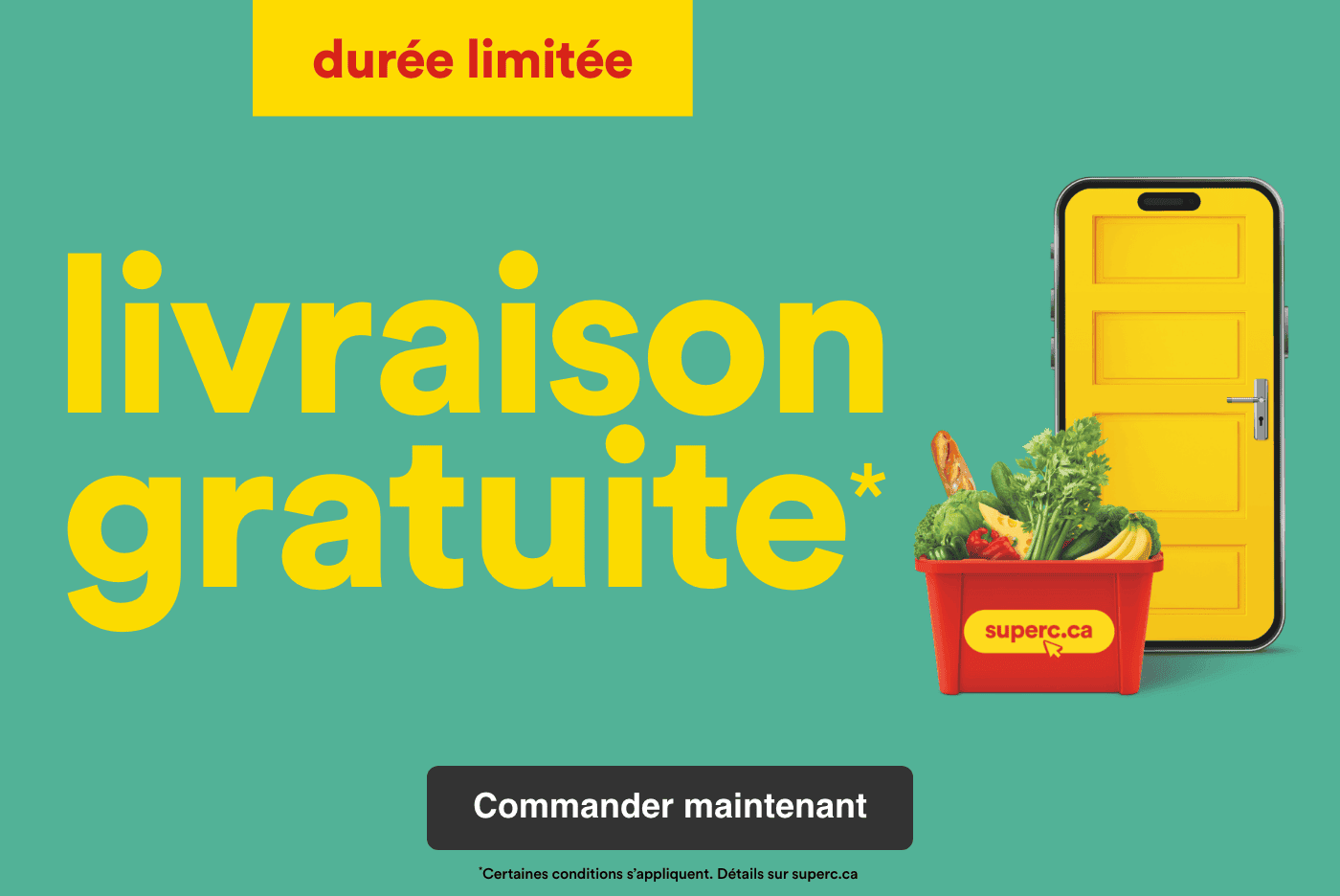 Durée limitée - livraison gratuite* - Commander maintenant