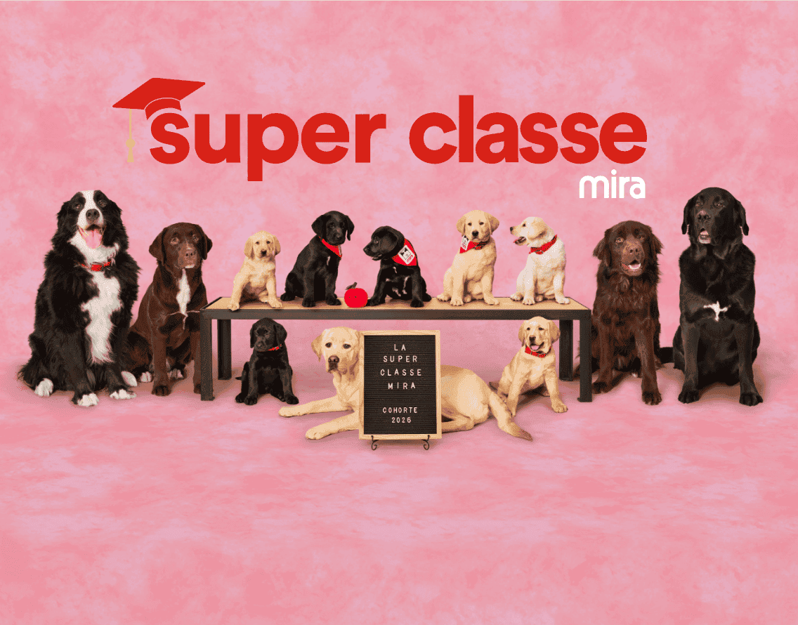 Super classe mira - la super classe mira - cohorte 2026