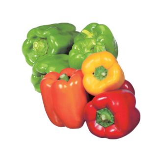 Poivrons de champs rouges, jaunes, orange