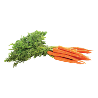 Carottes en feuilles