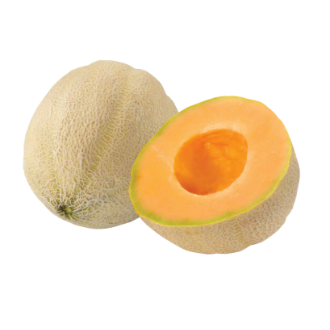 Cantaloup