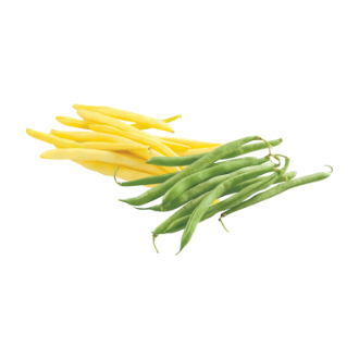 Haricots jaunes et verts