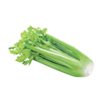 Céleri
