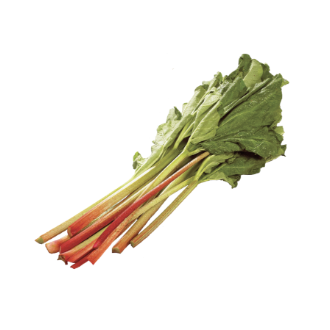 Rhubarbe
