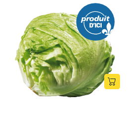 Produit: Laitue