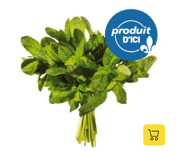 Produit: Menthe fraîche