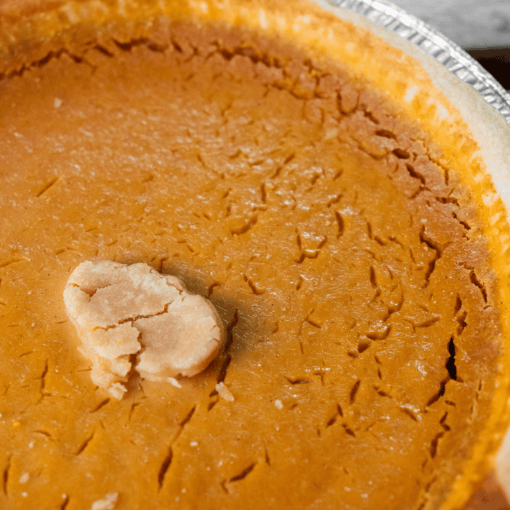 creamy pumpkin pie