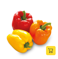 Produit: Poivrons couleurs