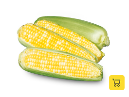 Produit: Maïs