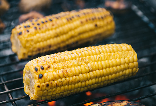 Le maïs sur le barbecue
