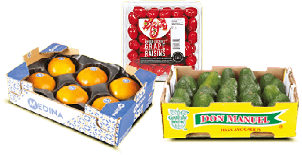 Produits de fruits et légumes frais