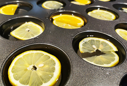 Super truc pour rafra&icirc;chir vos pichets d'eau