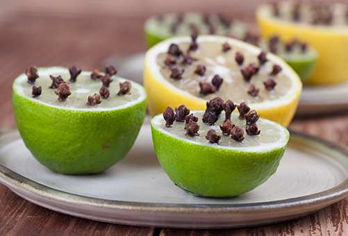 Petite astuce &eacute;conomique pour chasser les moustiques