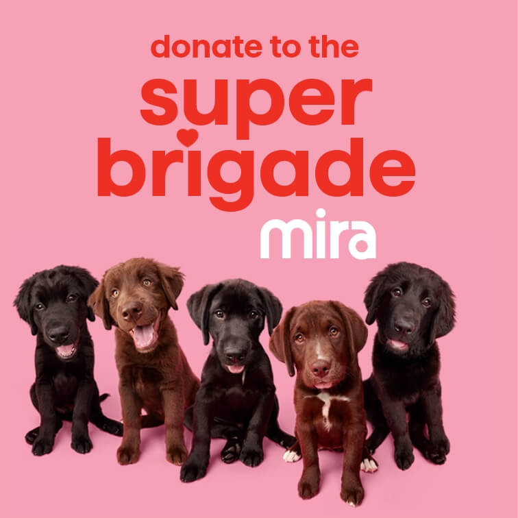 Mira super brigade