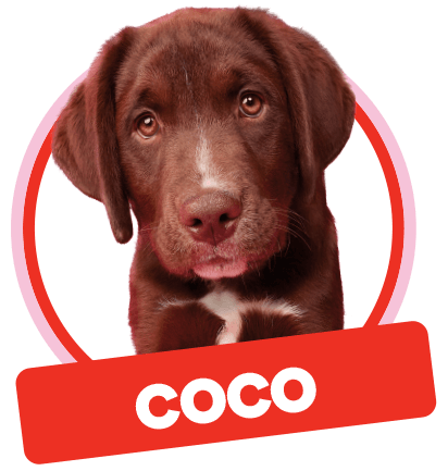 Coco