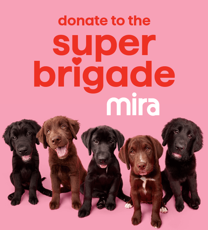 donate to the super brigade mira