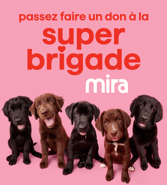 Passez faire un don à la super brigade mira