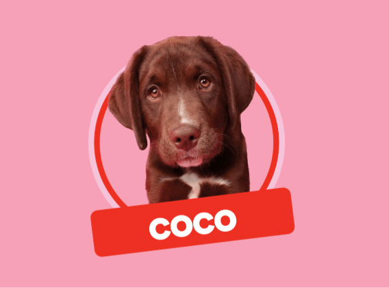 Coco