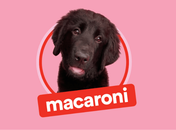 Macaroni