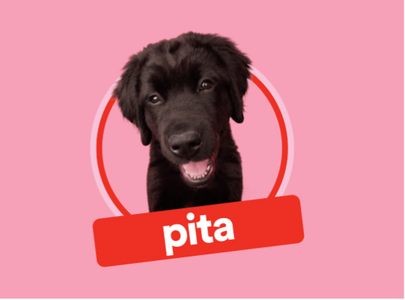 Pita