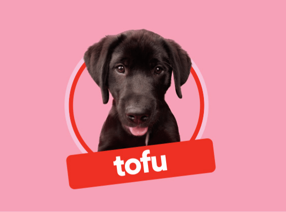 Tofu