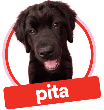 Pita