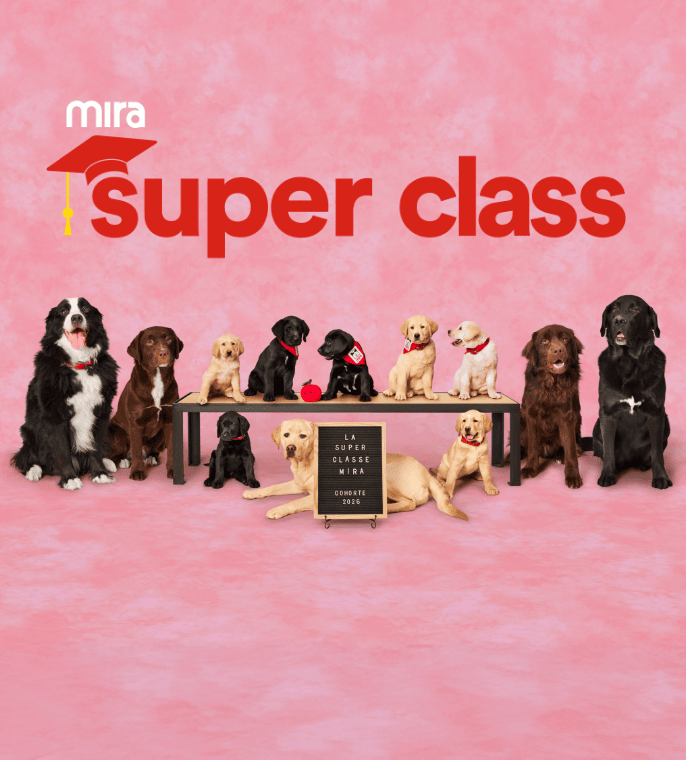 Mira Super class
